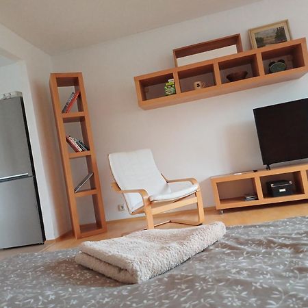 Apartman Dvorak 194 Pod Svatou Horou Příbram 외부 사진