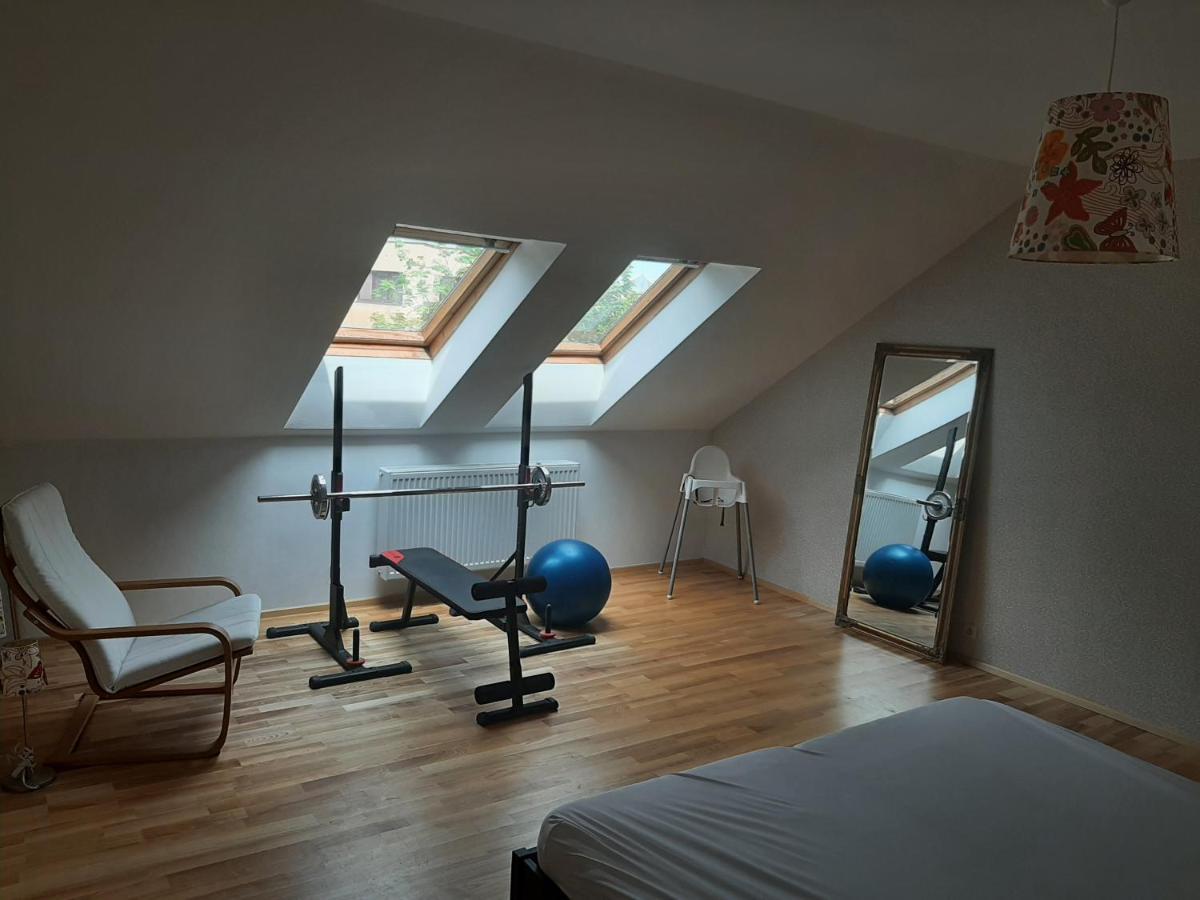 Apartman Dvorak 194 Pod Svatou Horou Příbram 외부 사진