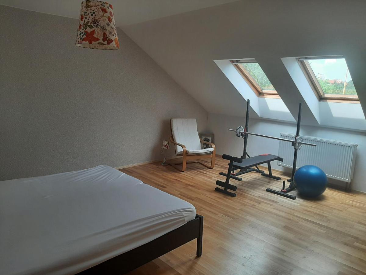 Apartman Dvorak 194 Pod Svatou Horou Příbram 외부 사진