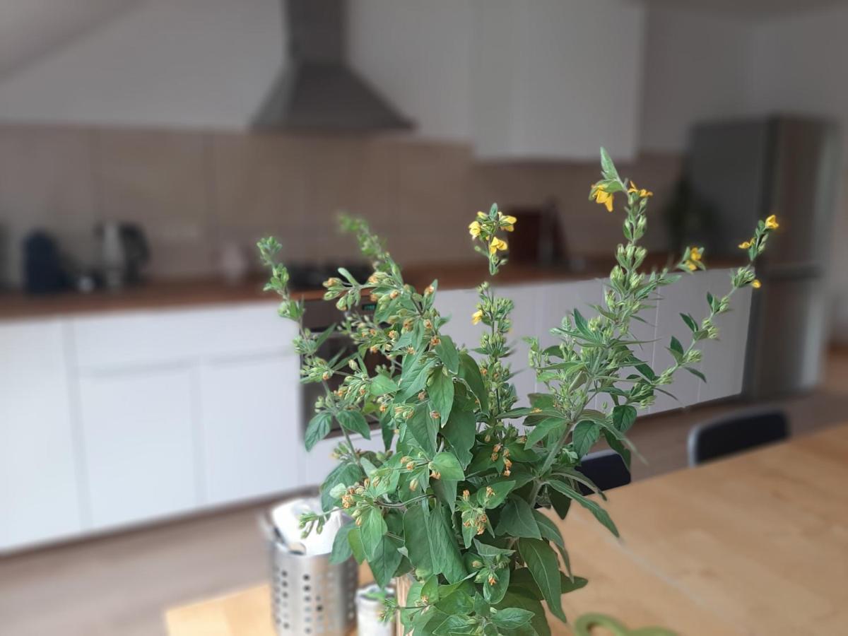 Apartman Dvorak 194 Pod Svatou Horou Příbram 외부 사진