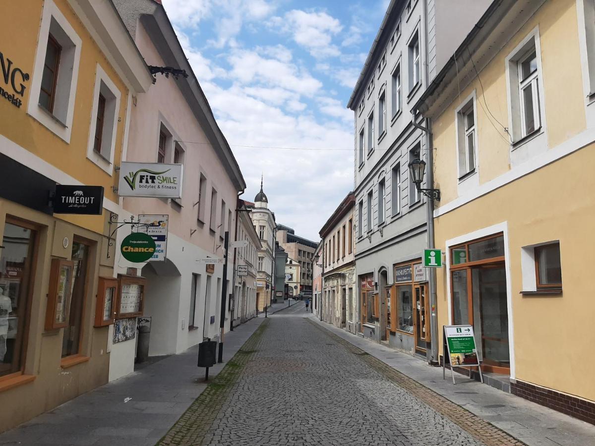 Apartman Dvorak 194 Pod Svatou Horou Příbram 외부 사진