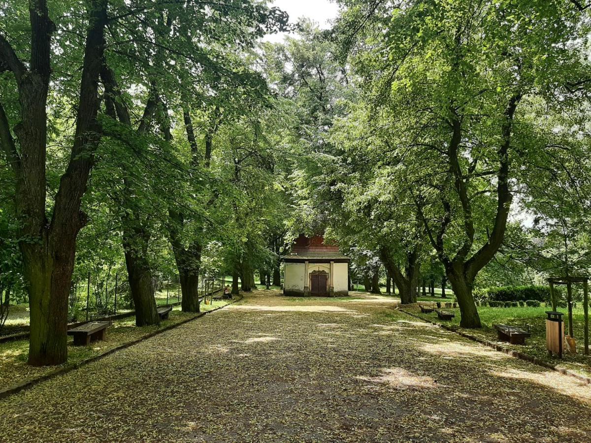 Apartman Dvorak 194 Pod Svatou Horou Příbram 외부 사진