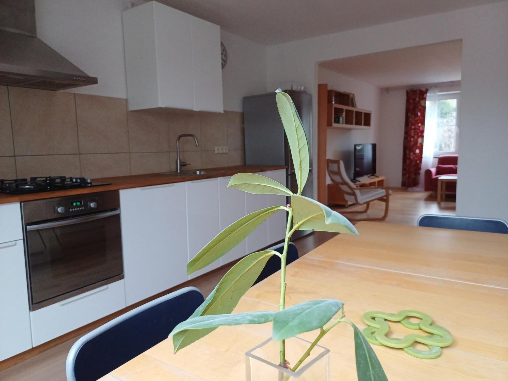 Apartman Dvorak 194 Pod Svatou Horou Příbram 외부 사진