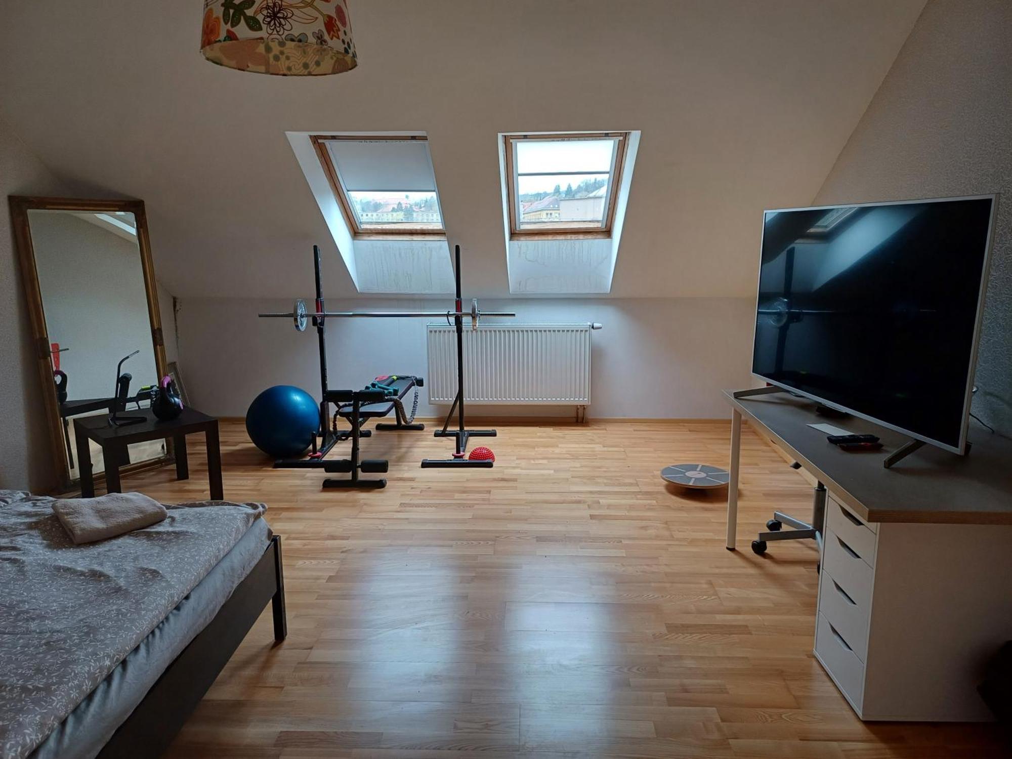 Apartman Dvorak 194 Pod Svatou Horou Příbram 외부 사진